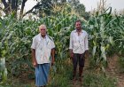 आधुनिक खेती की ओर कदम : नैनो उर्वरक और स्वीट कॉर्न ने बदली रामचंद्र की किस्मत