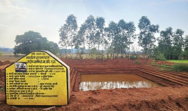 मनरेगा की आजीविका डबरियां बन रहीं ग्रामीण समृद्धि का आधार