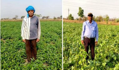 बेमेतरा जिले में दलहन के रकबे में चार गुना की वृद्धि