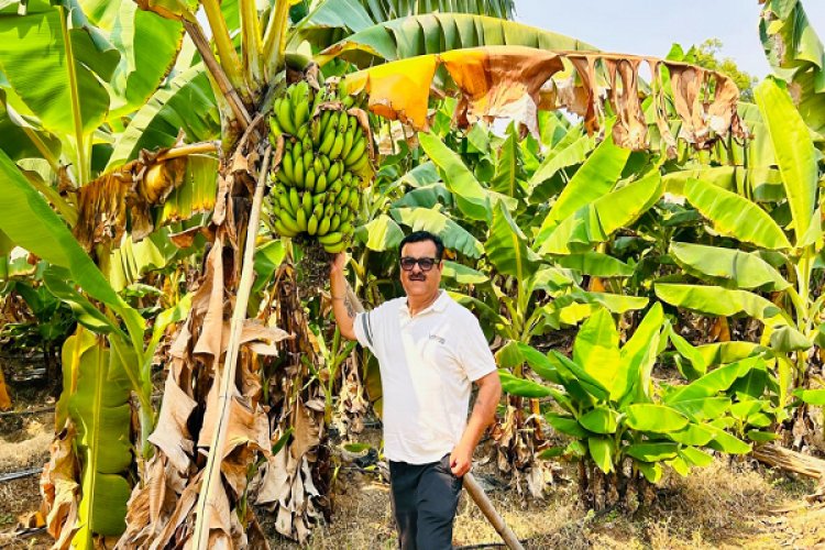 आधुनिक खेती से सफलता की नई इबारत लिख रहे किसान भरत