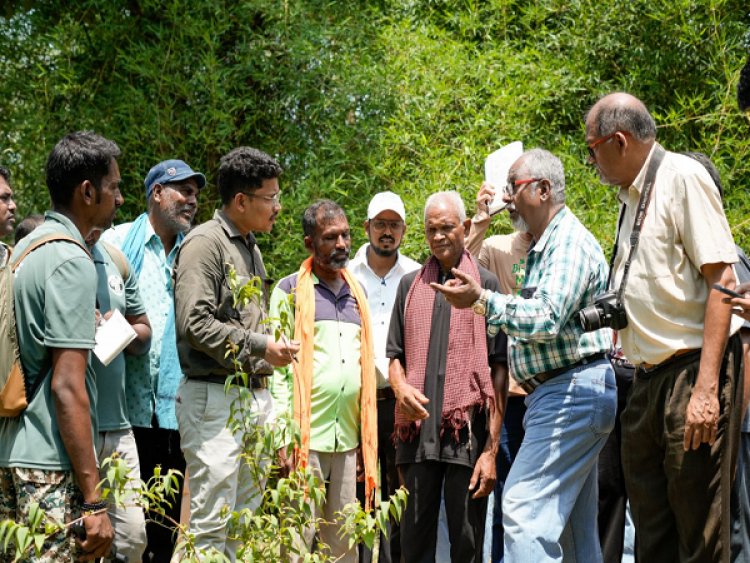 देवपुर में औषधीय वनस्पतियों पर एक दिवसीय बॉटनाइजेशन कार्यशाला