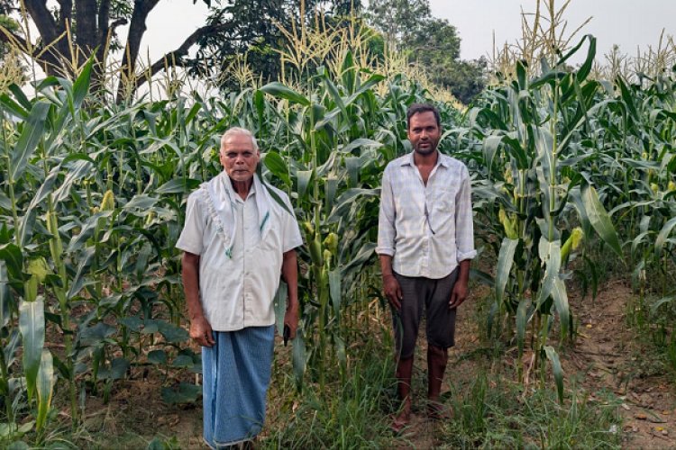आधुनिक खेती की ओर कदम : नैनो उर्वरक और स्वीट कॉर्न ने बदली रामचंद्र की किस्मत